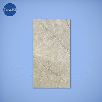 PORCELANATO ABSOLUTE GRIS PULIDO 60X120