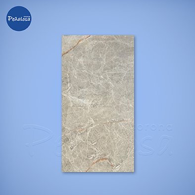 PORCELANATO ESPERANDA GRIS OSCURO PULIDO 60X120