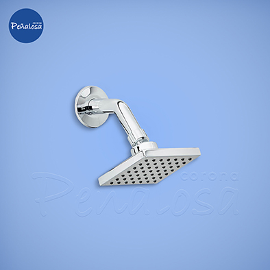 REGADERA DUCHA CON BRAZO NOGAL CROMO