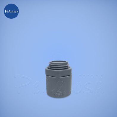 Corona En Cucuta ADAPT TERM CONDUIT 3/4 GRIS SCH40