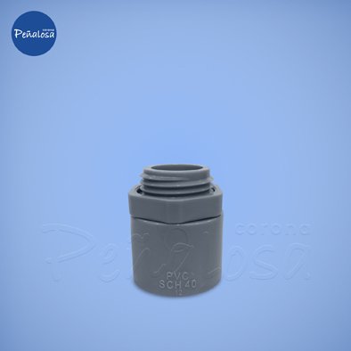 Corona En Cucuta ADAPT TERM CONDUIT 1 GRIS SCH40