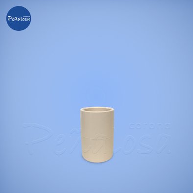 Corona En Cucuta UNION CPVC 1/2