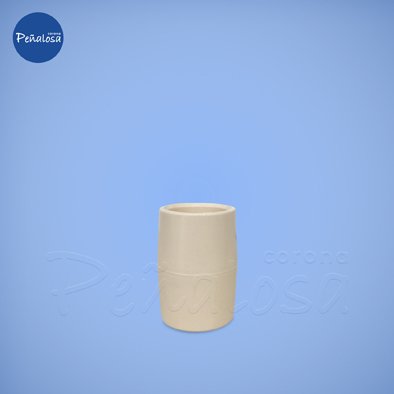 Corona En Cucuta UNION CPVC 3/4