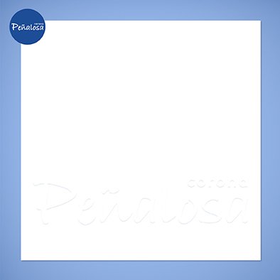 Corona En Cucuta PORCELANATO FROZEN BLANCO 60X60 RESIDENCIAL GENERAL